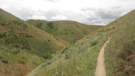 Boise Foothills Loop Hike Gulch, Watchman, Three Bears 9